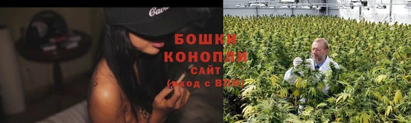 крисы Белокуриха