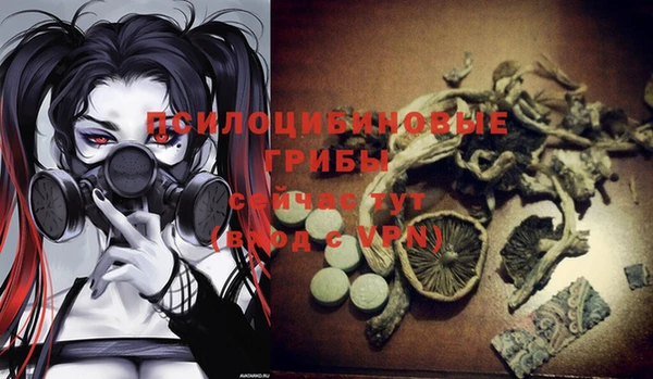 бошки Белоозёрский