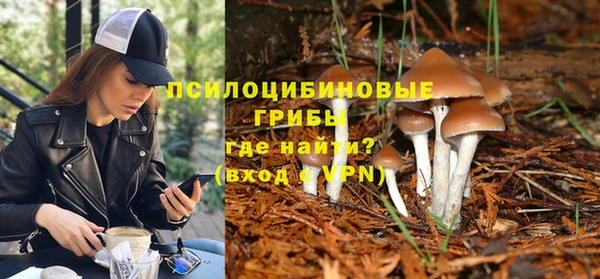 крисы Белокуриха
