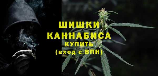 крисы Белокуриха
