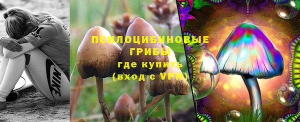 mdpv Беломорск