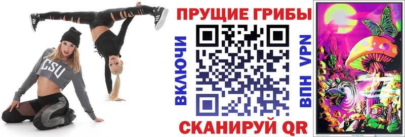 Купить  Мончегорск  Псилоцибиновые грибы Psilocybine cubensis 